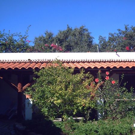 Finca El Abuelo Barbate Extérieur photo